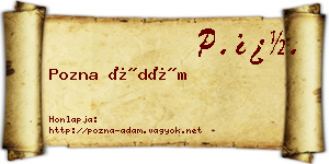 Pozna Ádám névjegykártya